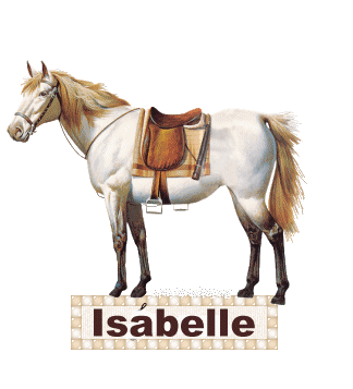 Prénom Isabelle - Cheval blanc