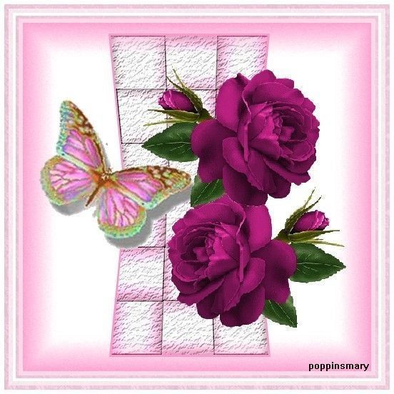 Papillon - Rose foncée et fond