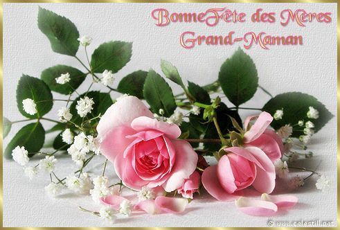 Fête des Grand-mères - Grand-Maman, roses