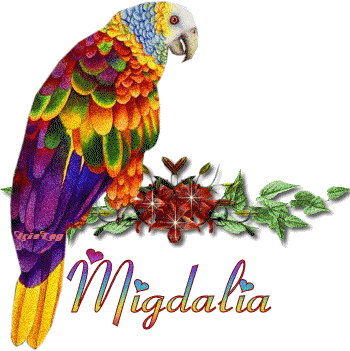 Prénom Migdalia - Perroquet plein de couleurs