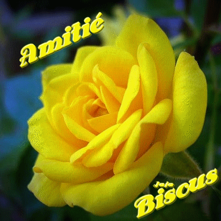 Bisous Amitié - Rose plusieurs couleurs