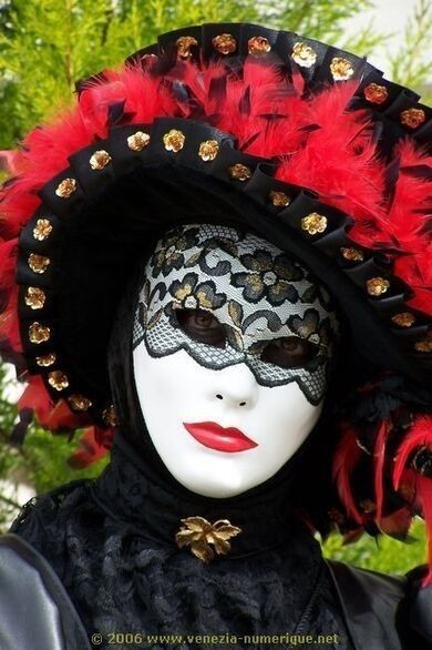 Carnaval - Costume noir, plumes rouges