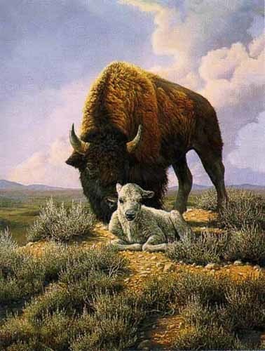 Animaux - Bison et mouton