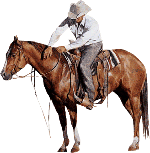 Western Style - Homme et cheval