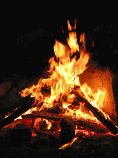 Feu de bois
