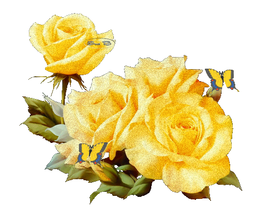 Fleurs - Roses jaunes, papillons