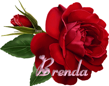 Prénom Femme - Brenda, rose multicolore