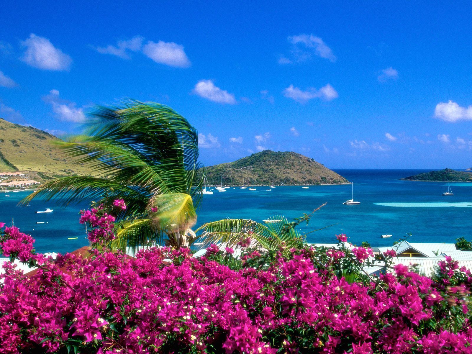 Fond d'écran - Paysage voiliers des Îles