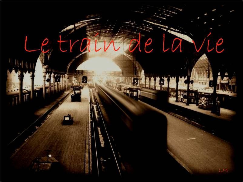 train-de-la-vie-reflexion-bon-voyage